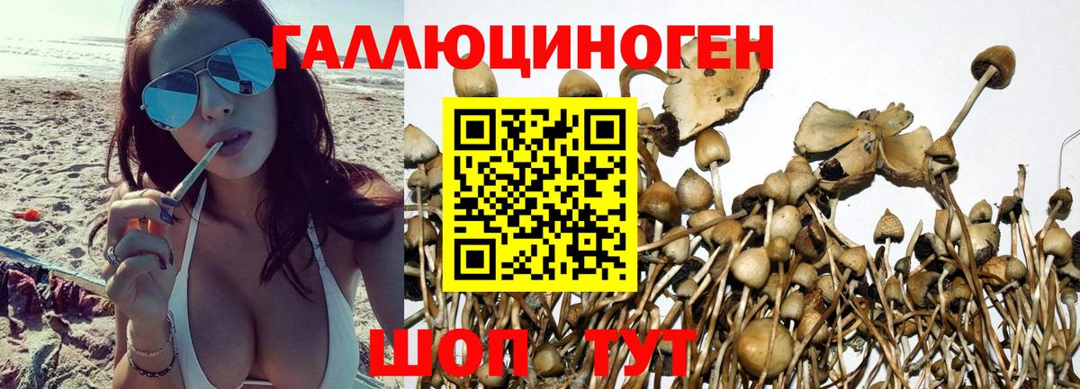 Гашиш  Советский  КЕТАМИН  Мефедрон   МАРИХУАНА  Вход с VPN 