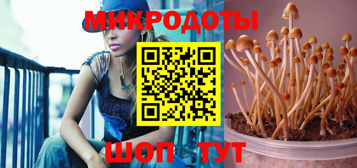 Псилоцибиновые грибы MAGIC MUSHROOMS Советский